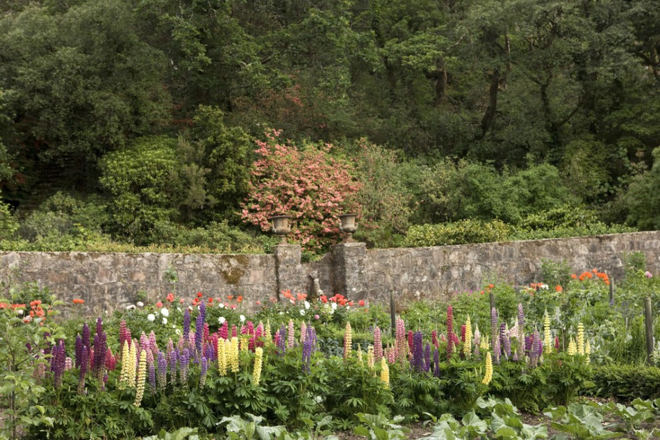 Gardens in Glenveagh National Park, County Donegal, Ireland near Árasáin Bhalor - 4 Star Self Catering Apartments & House, Falcarragh